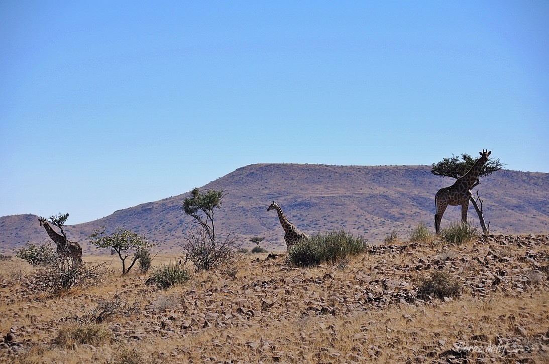 Namibia z Elą i Marcinem