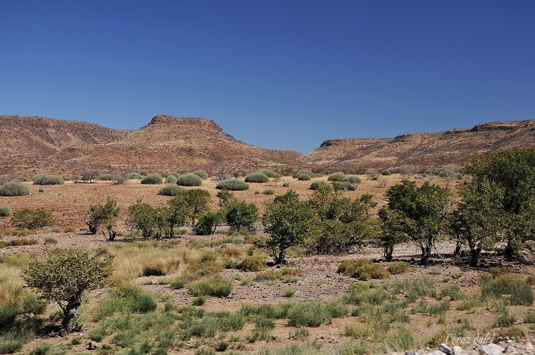 Namibia z Elą i Marcinem