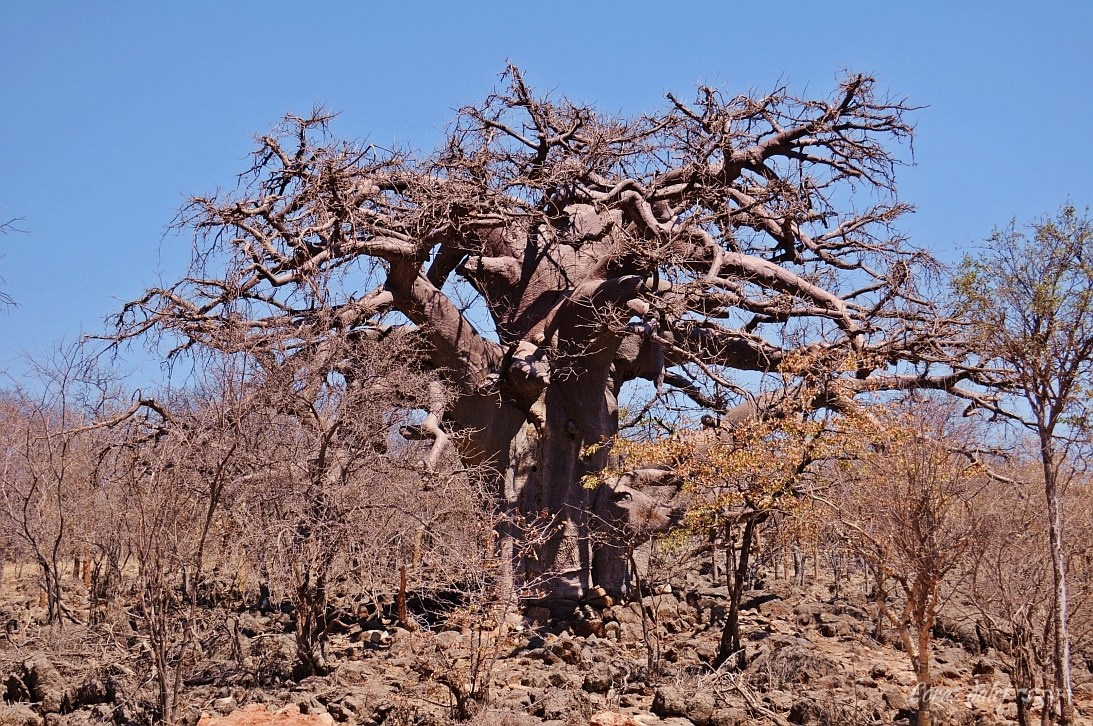 Namibia z Elą i Marcinem