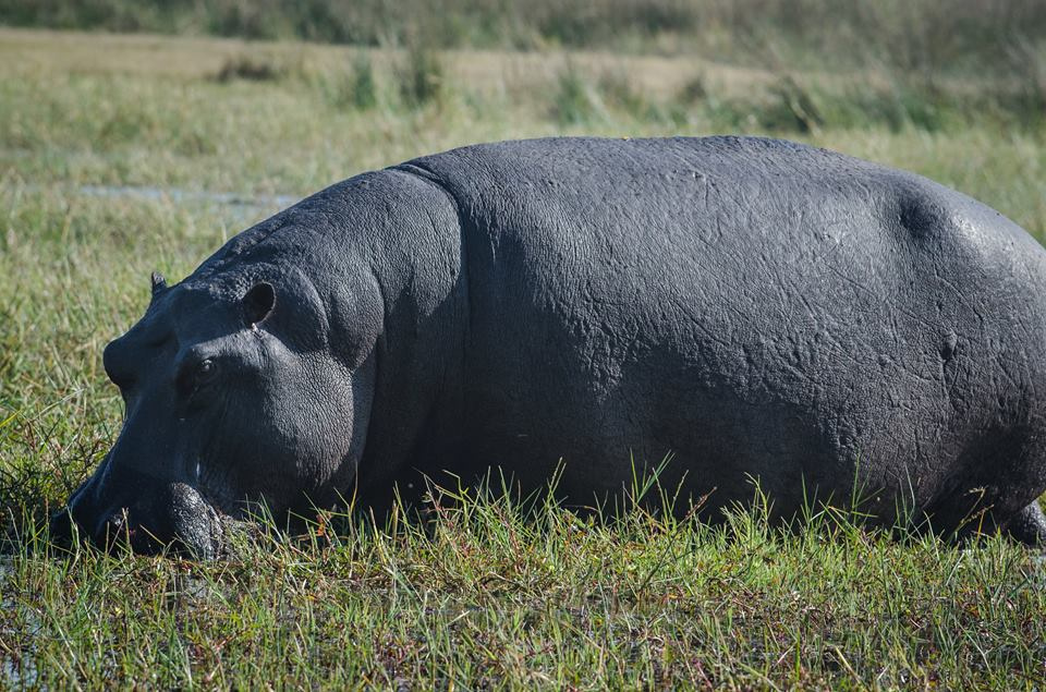 Botswana z Adventrue.pl cz.3