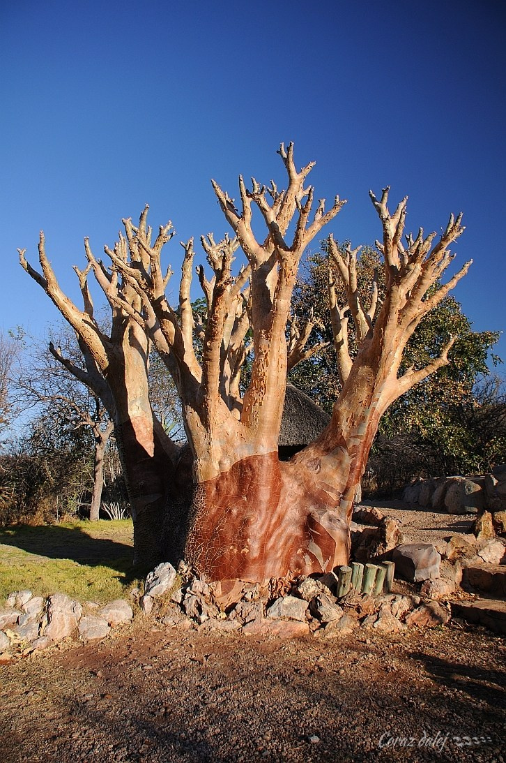 Namibia z Elą i Marcinem