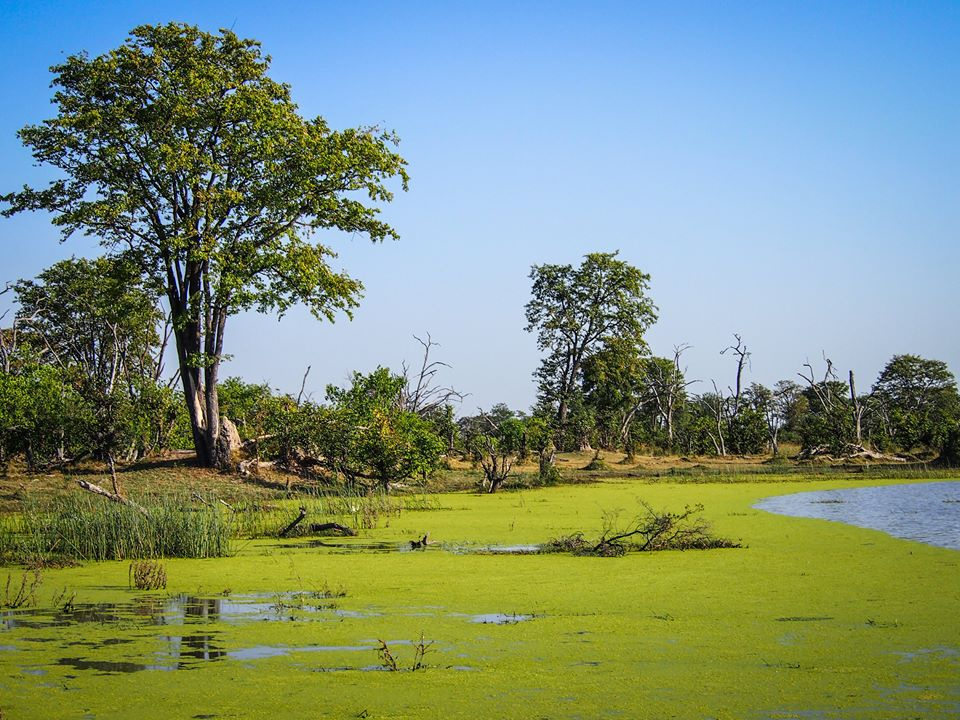 Botswana z Adventrue.pl cz.3