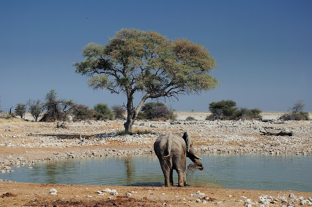 Namibia z Elą i Marcinem