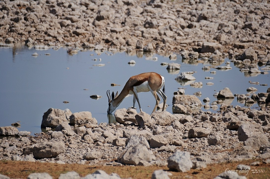 Namibia z Elą i Marcinem