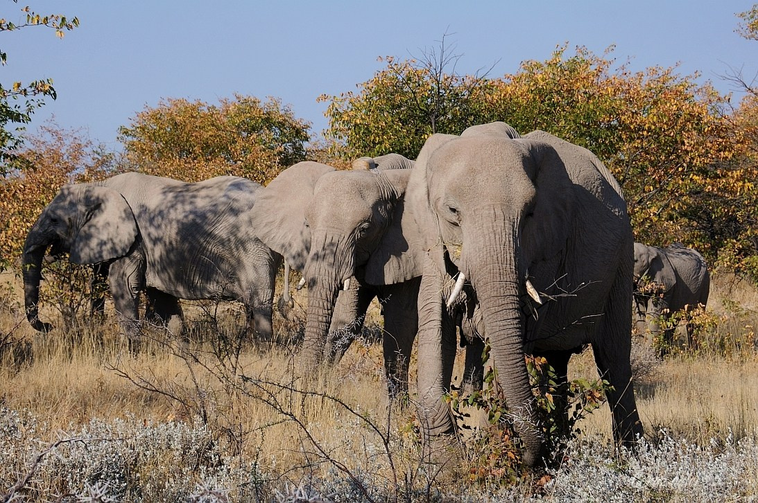 Namibia z Elą i Marcinem