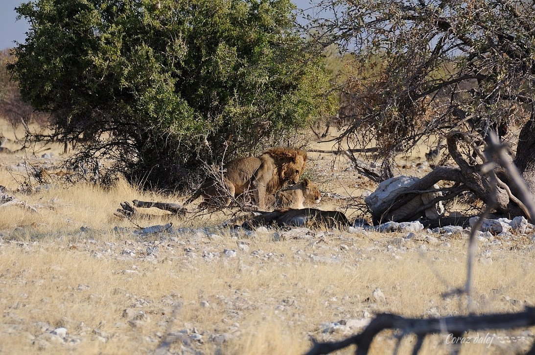 Namibia z Elą i Marcinem