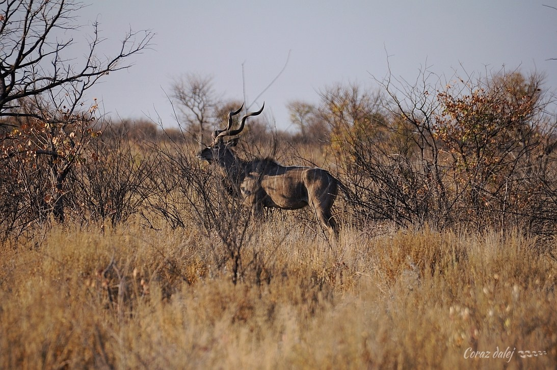 Namibia z Elą i Marcinem