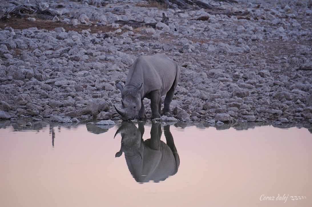 Namibia z Elą i Marcinem