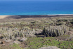 Safari 4x4 Fuerteventura