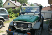Land Cruiser UZJ 40 - Plum