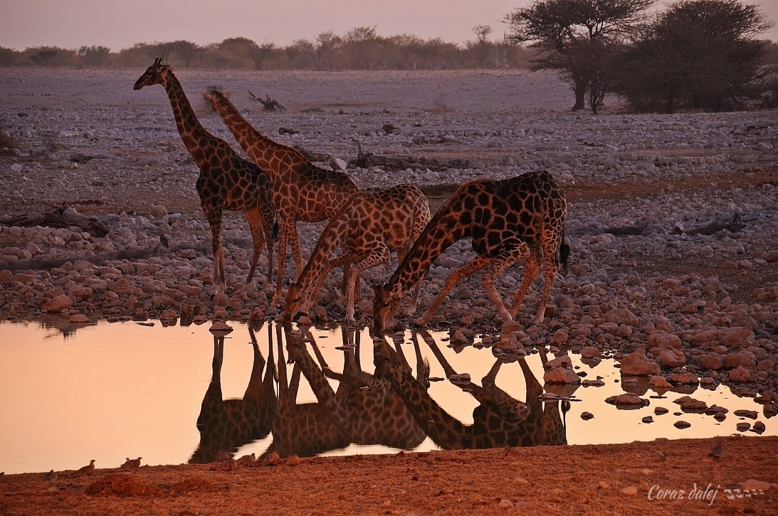 Namibia z Elą i Marcinem