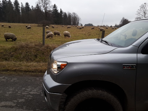 Toyota Tundra Krzysztof