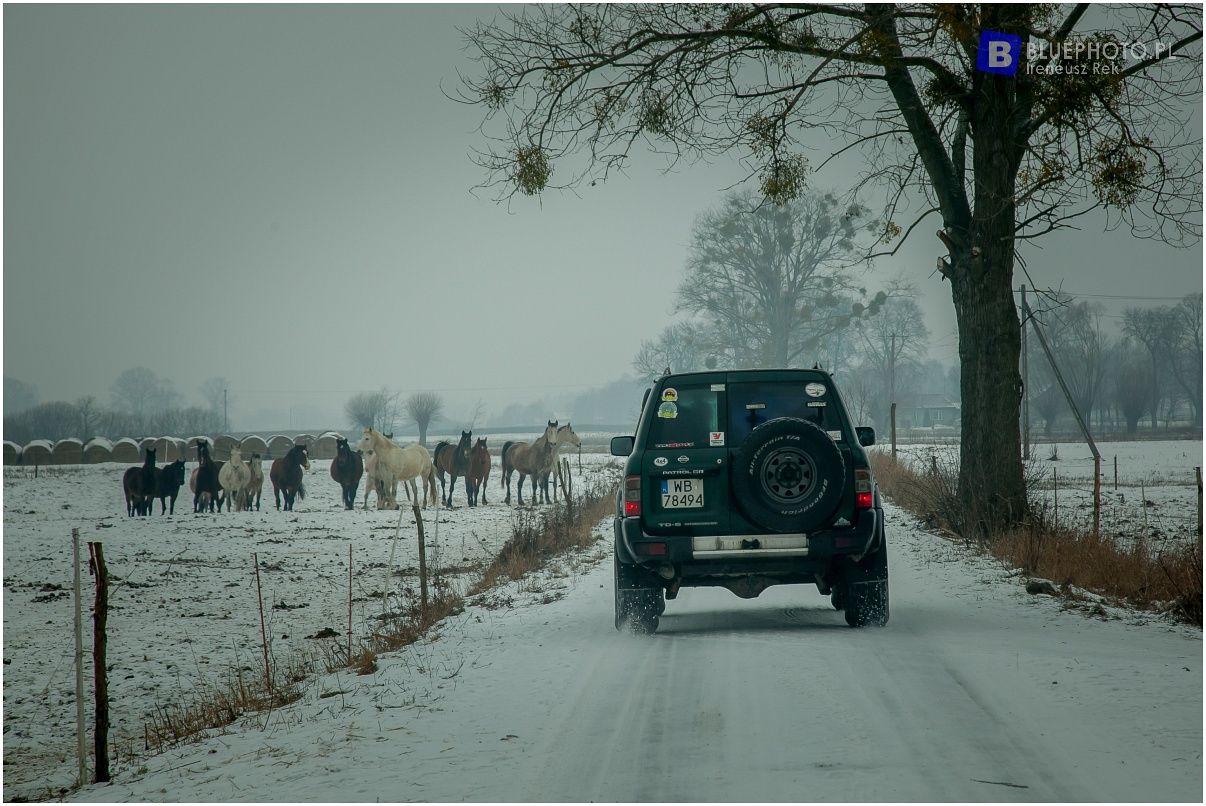 Mazovia Outback 4