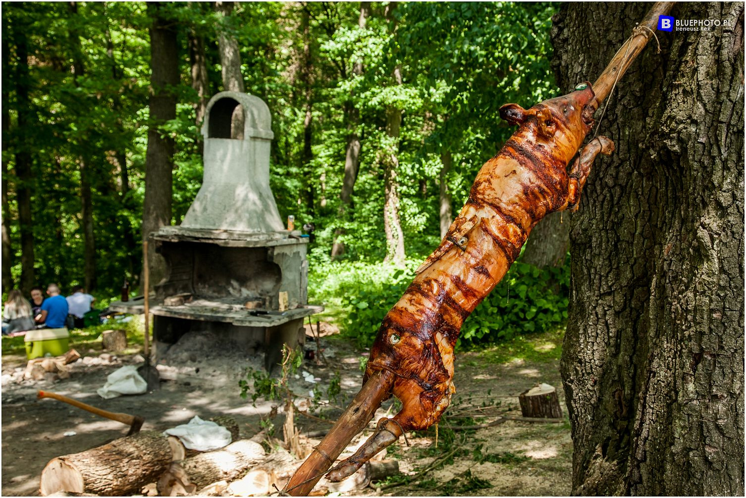 Serbia na majówkę