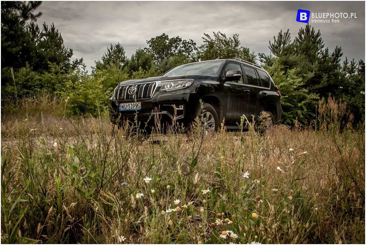 Land Cruiser 150 Igora