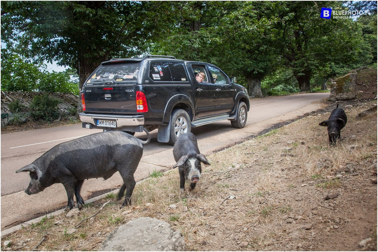 Hiluxem przez Korsykę