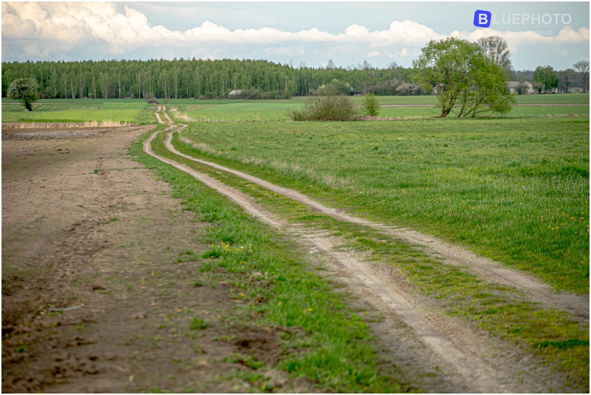 TRASA NR1 - ZAKRĘT -> WIELGOLAS