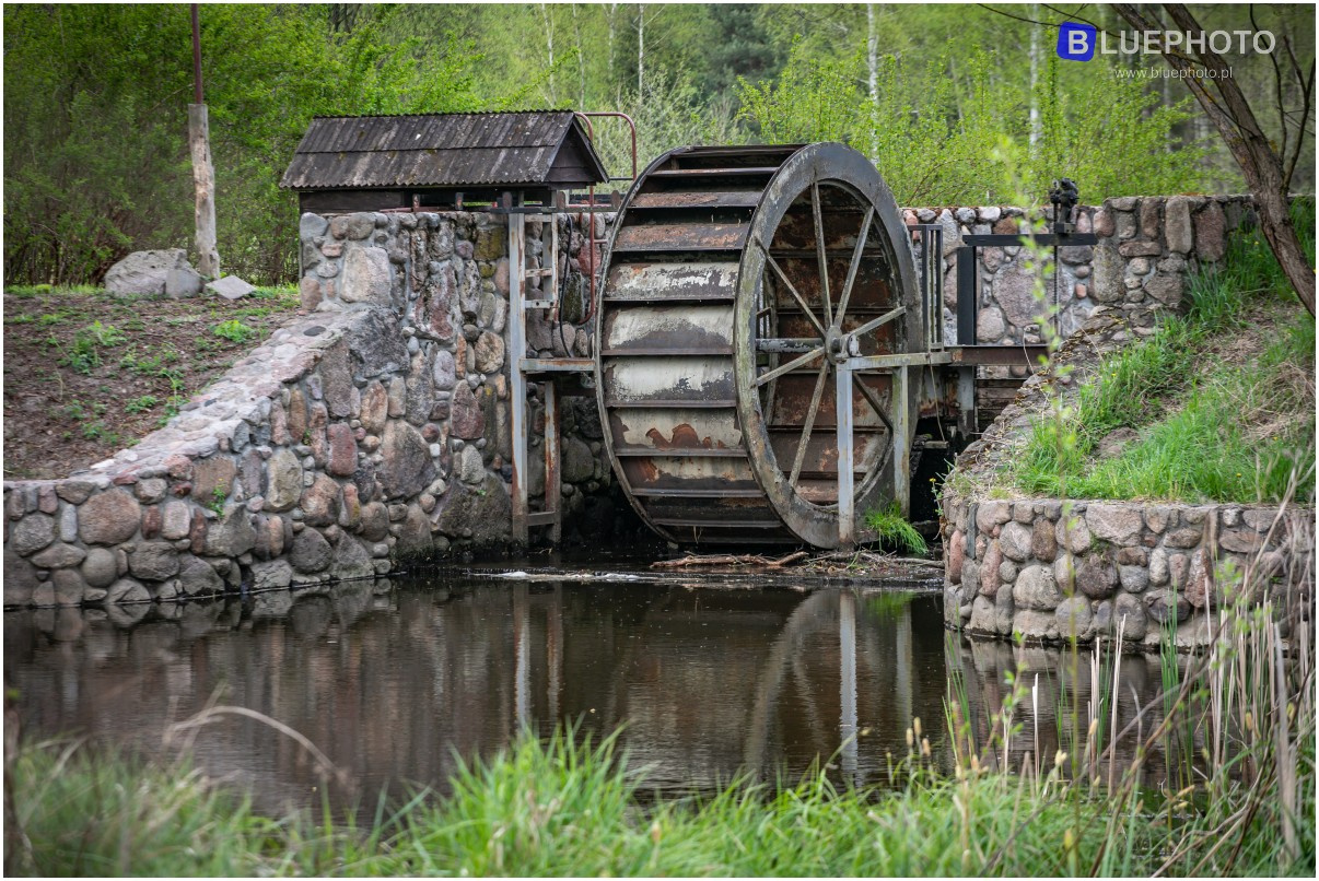 TRASA NR1 - ZAKRĘT -> WIELGOLAS