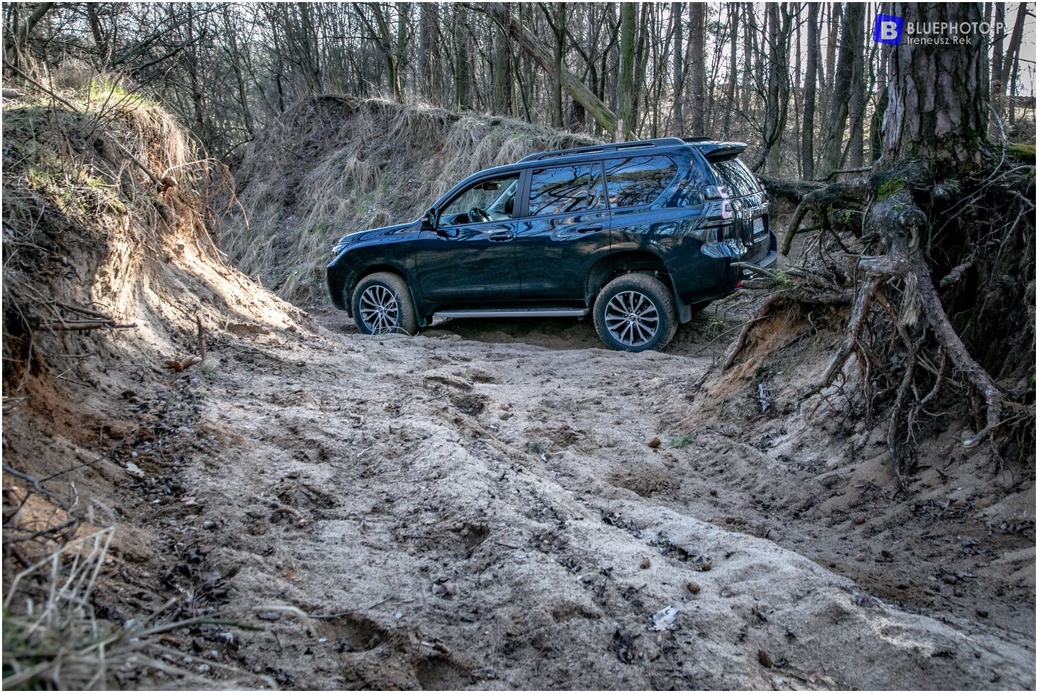 Wielkopolska 4x4