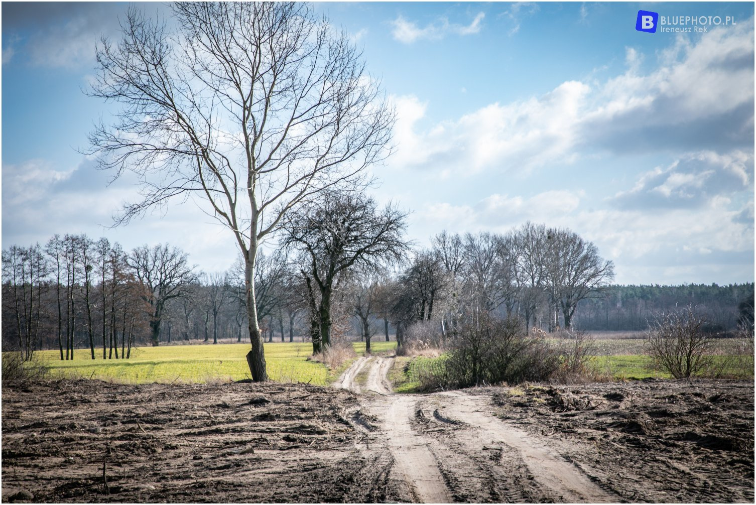 Wielkopolska 4x4