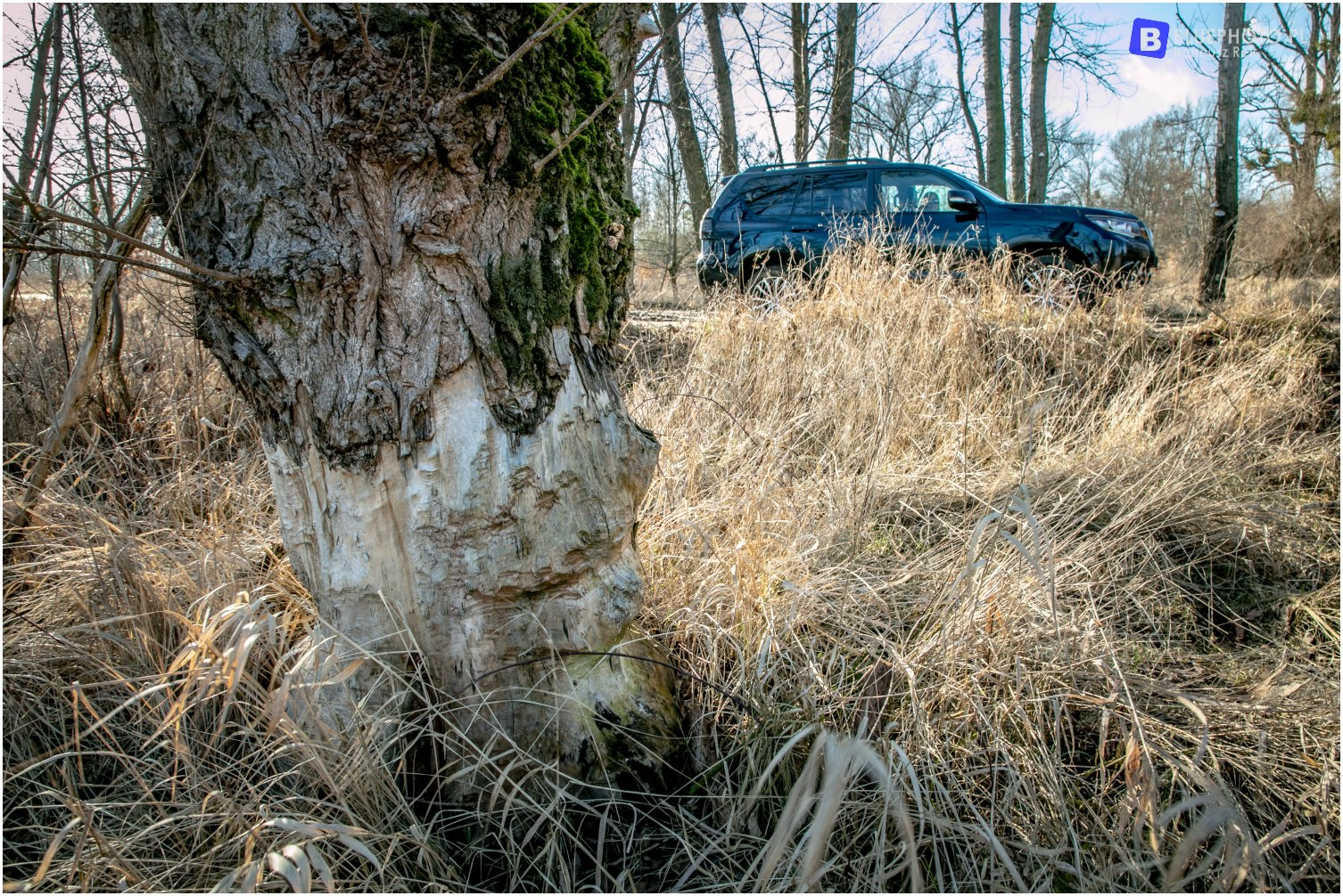 Wielkopolska 4x4