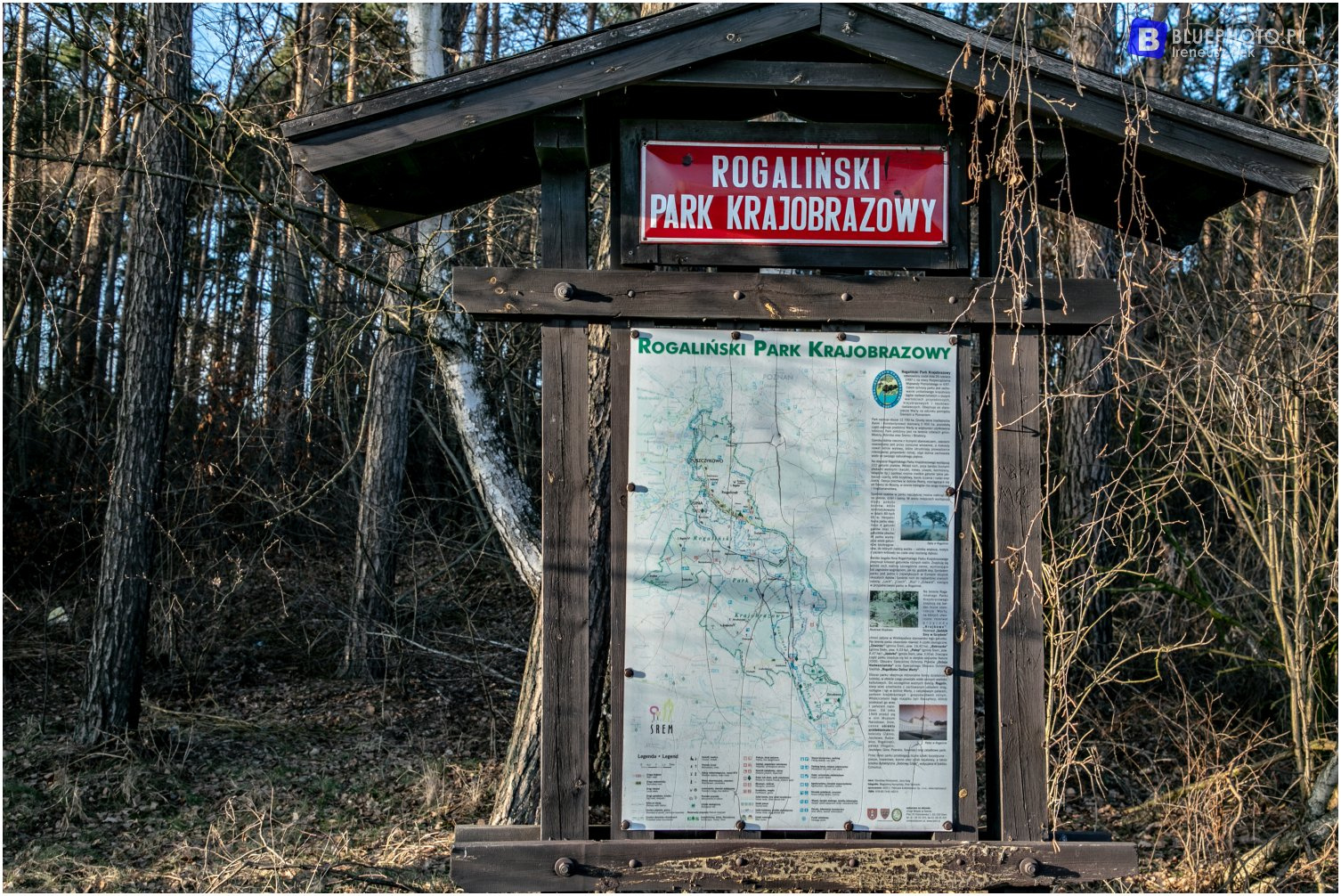 Wielkopolska 4x4