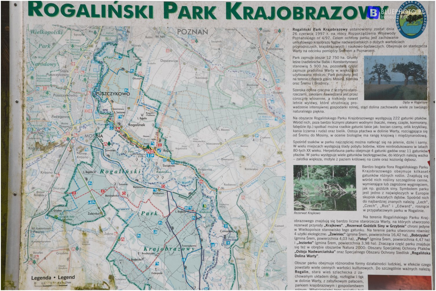 Wielkopolska 4x4