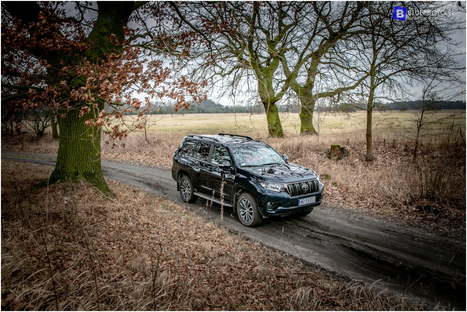 Wielkopolska 4x4