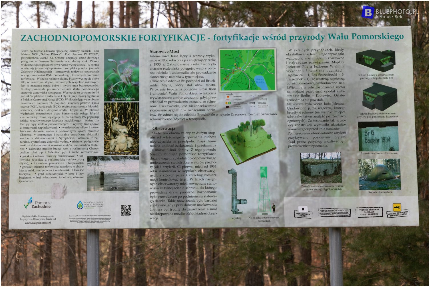 Highlanderem przez Pojezierze Drawskie - trasa z Siemczyna do Bornego Sulinowa