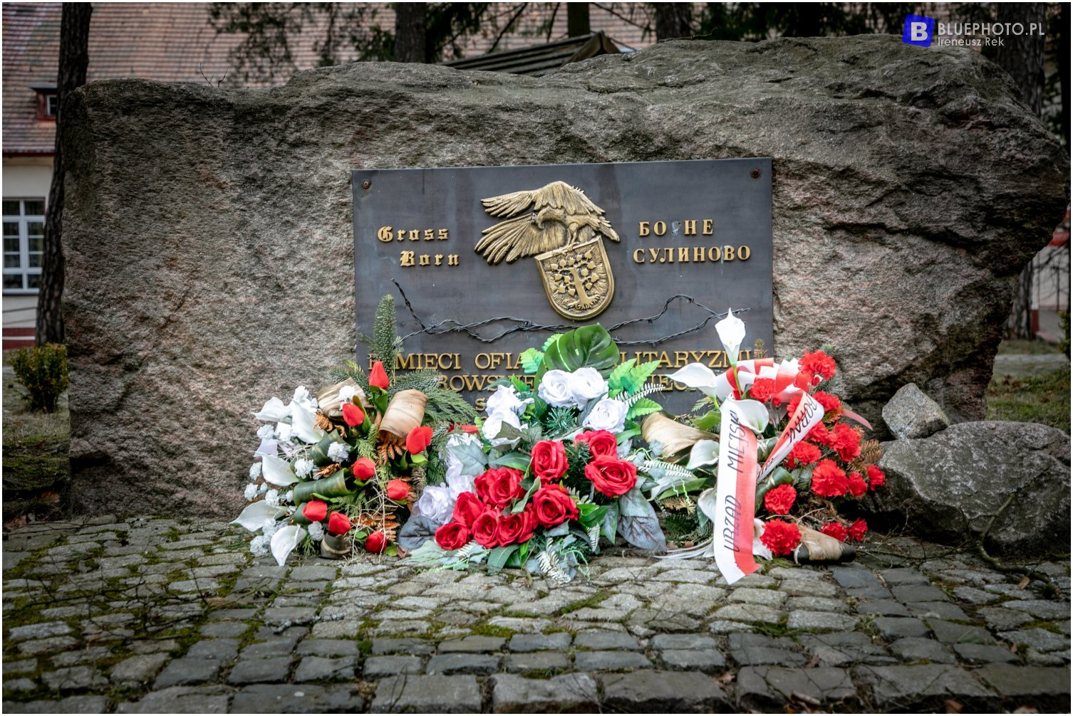 Highlanderem przez Pojezierze Drawskie - trasa z Siemczyna do Bornego Sulinowa
