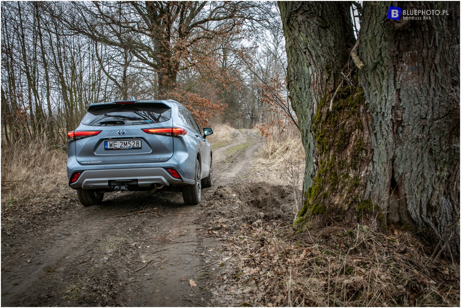 Nasz test - Toyota Highlander
