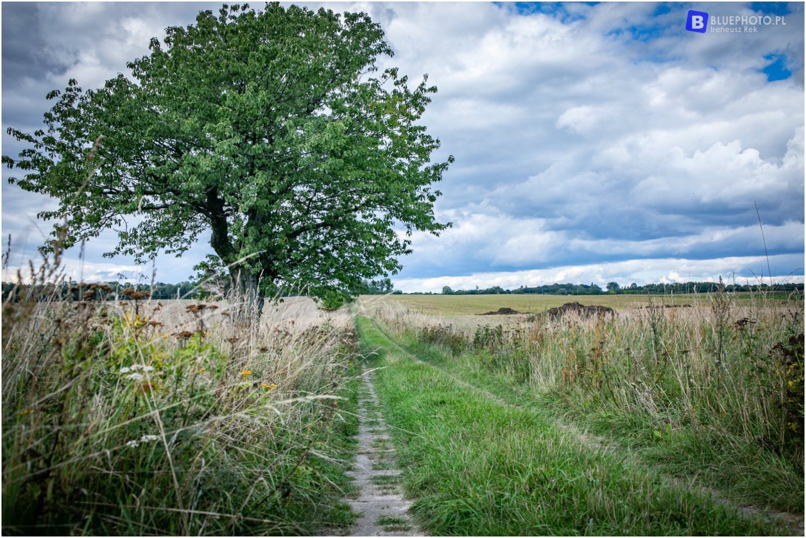 Pomorze zachodnie - trasa GPS - Ciemno-Małkocin