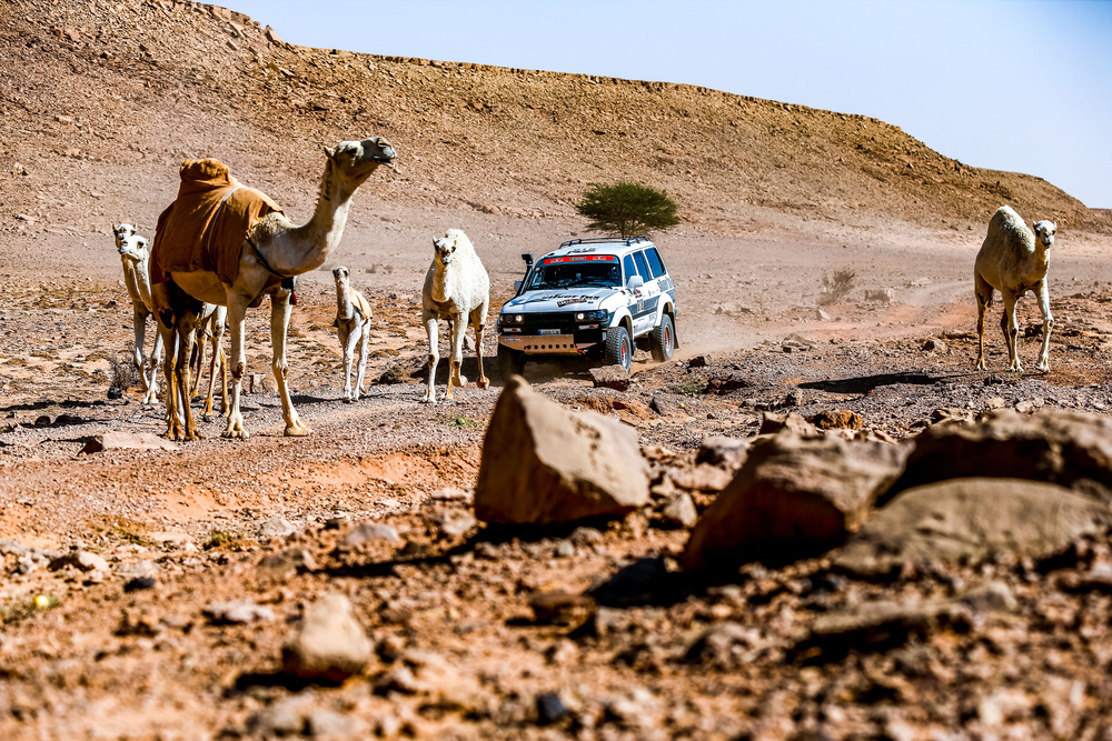 Dakar Classic 2022