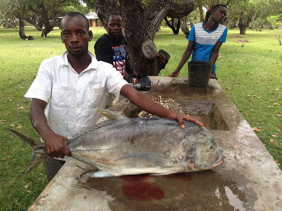 Zambia, Malawi, Mozambik, Zimbabwe