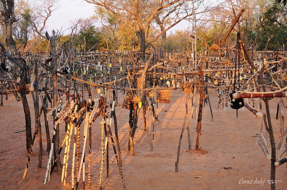Namibia z Elą i Marcinem