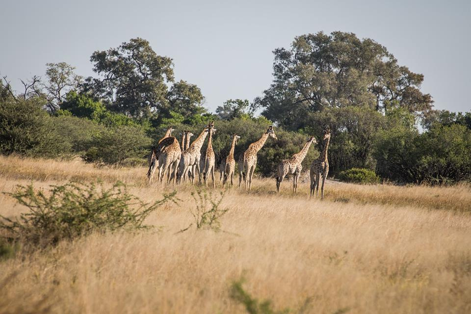 Botswana z Adventrue.pl cz.3