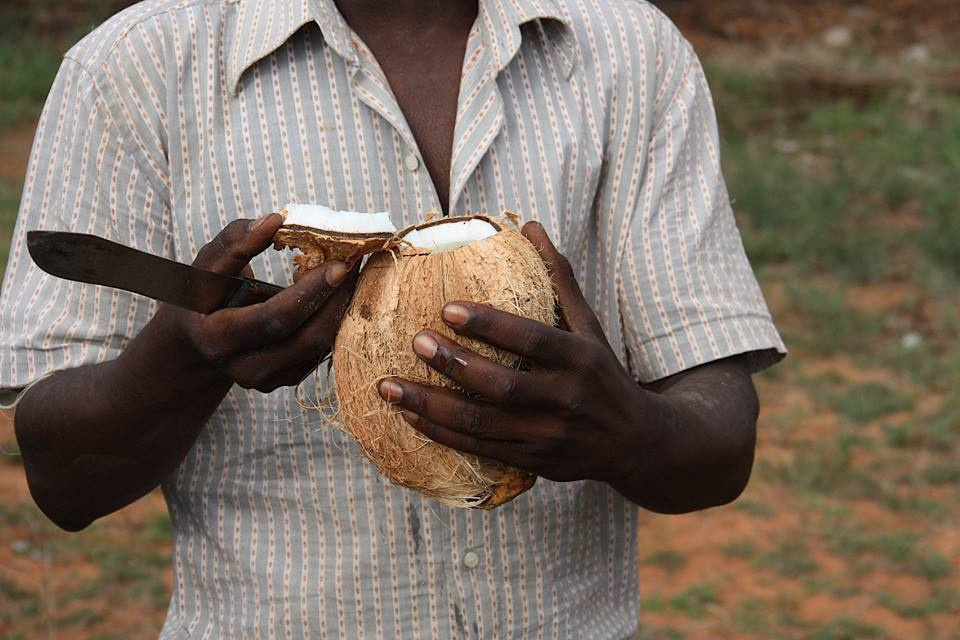 Zambia, Malawi, Mozambik, Zimbabwe