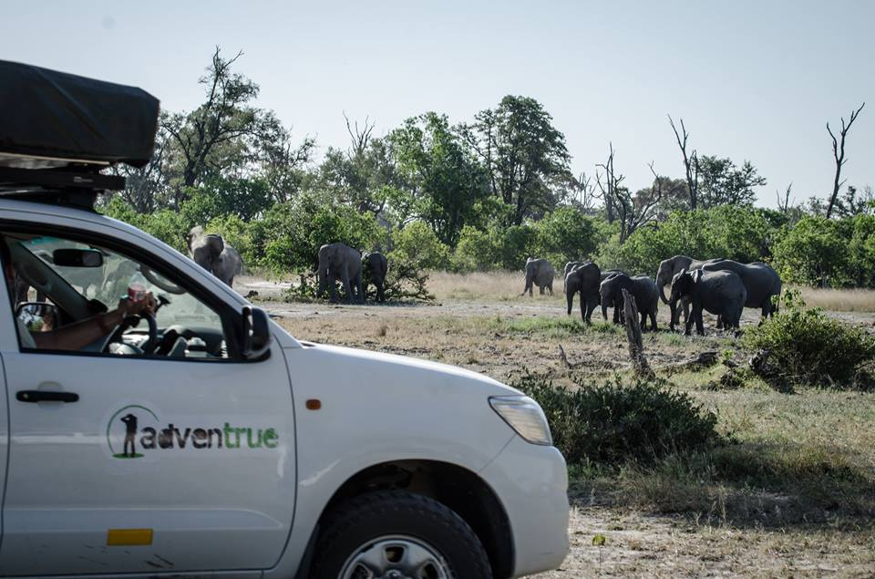Botswana z Adventrue.pl cz.3