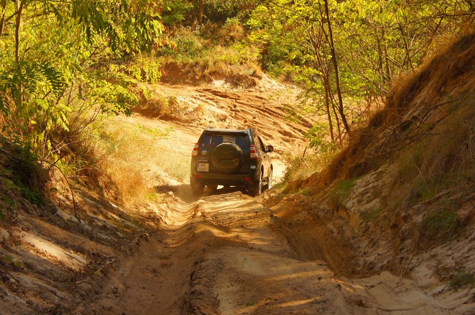 Piknik Toyota Bońkowscy i Toyota Fietz