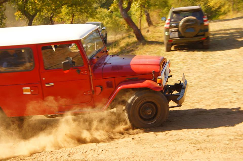 Piknik Toyota Bońkowscy i Toyota Fietz