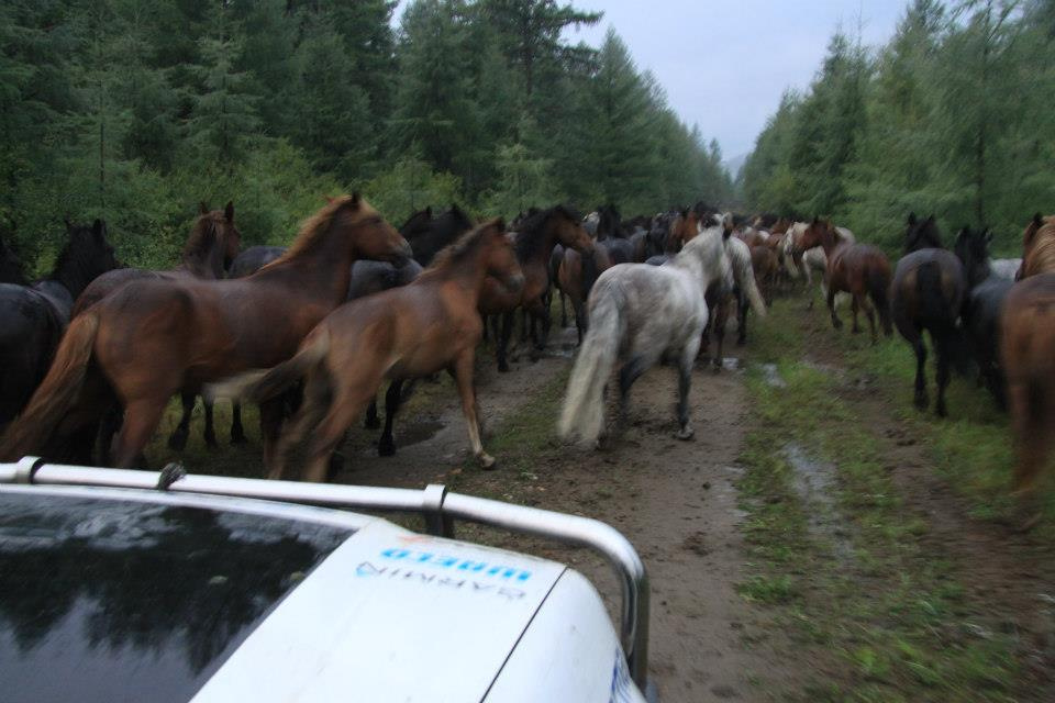 Setką dookoła Bajkału