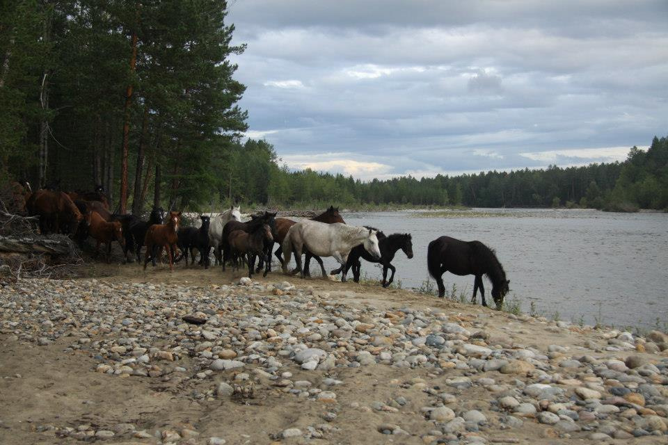 Setką dookoła Bajkału