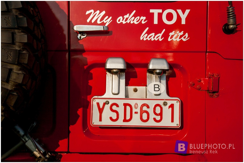 Buschtaxi Treffen 2015