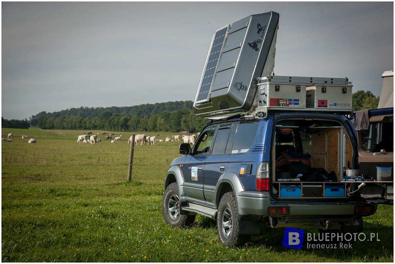 Buschtaxi Treffen 2015