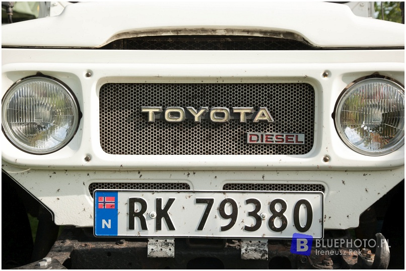 Buschtaxi Treffen 2015