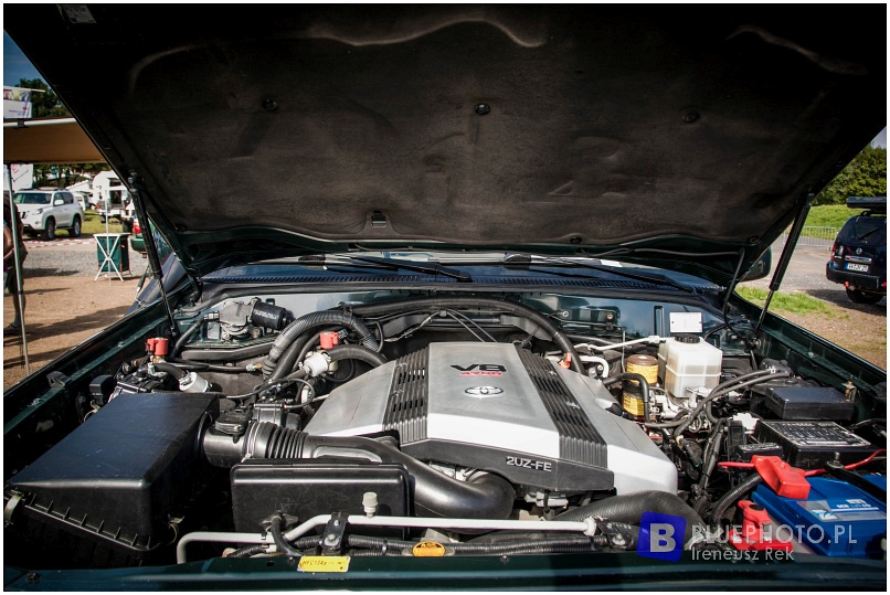 Buschtaxi Treffen 2015