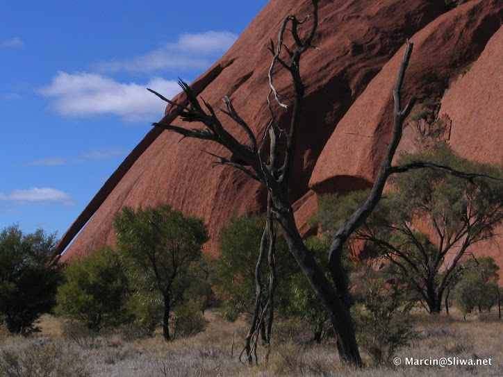 Z Marcinem Śliwą w Australii
