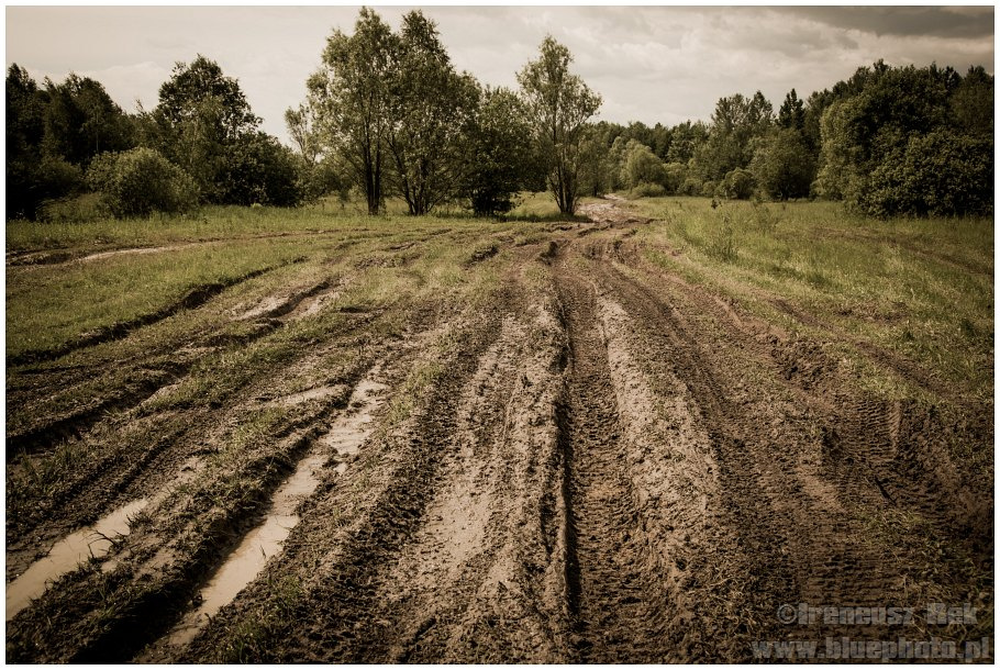 Terenowy Dzień Dziecka