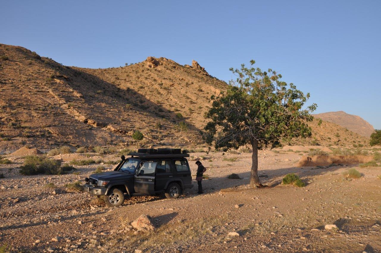Land Cruiser 76 Artura i Jagody