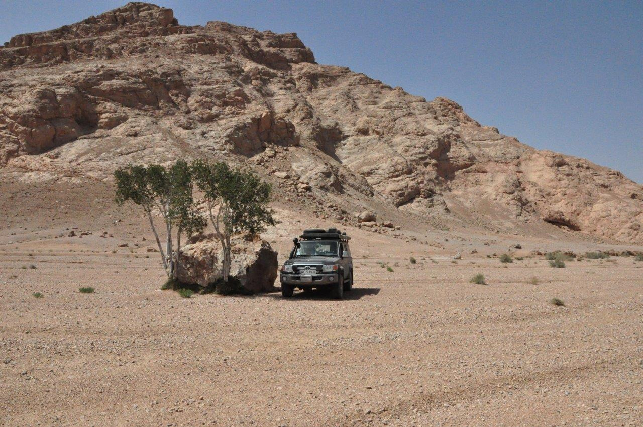 Land Cruiser 76 Artura i Jagody